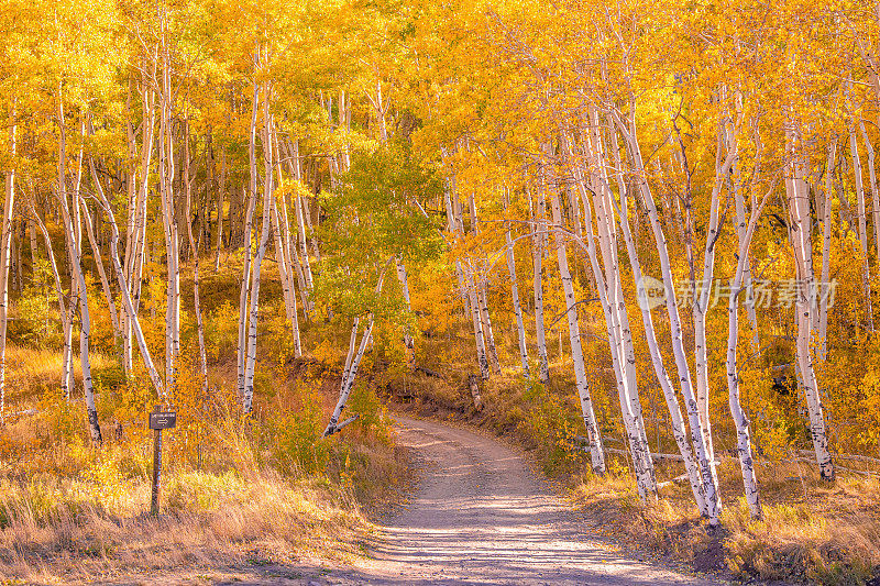 Telluride的Last Dollar Road